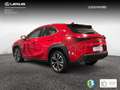 Lexus UX 250h 2.0 Premium Rouge - thumbnail 2