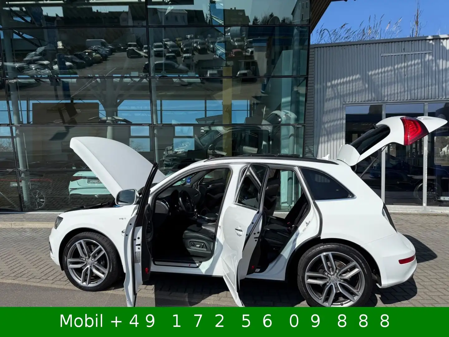 Audi SQ5 3.0 TDI q 4x4 Bi-Xenon Kamera Pano B&O AHK Weiß - 1