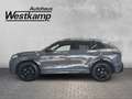 Volkswagen Tiguan R-Line 2,0 TSI DSG 4MOTION Grau - thumbnail 2