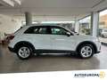 Audi Q3 35 TDI S-Tronic Business Bianco - thumbnail 2