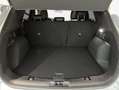 Ford Kuga 2.5 Duratec FHEV 4x4 GRAPHITE TECH EDITION Grau - thumbnail 5
