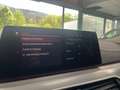 BMW 520 520d, Ambiente, Assistenten, VirtualDisp, H&K Blanco - thumbnail 25