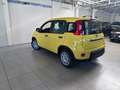 Fiat Panda Panda 1.0 firefly hybrid CON ADAS NUOVO MODELLO Jaune - thumbnail 4