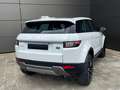 Land Rover Range Rover Evoque 2.0TD4 SE 4WD Aut. 150 Blanco - thumbnail 2