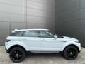 Land Rover Range Rover Evoque 2.0TD4 SE 4WD Aut. 150 Blanco - thumbnail 6
