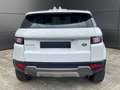Land Rover Range Rover Evoque 2.0TD4 SE 4WD Aut. 150 Blanco - thumbnail 7