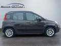 Fiat Panda Lounge 1.2 8V 51kW (69PS) DAB Tel.-Vorb. PDC Berga Braun - thumbnail 6