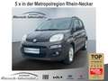 Fiat Panda Lounge 1.2 8V 51kW (69PS) DAB Tel.-Vorb. PDC Berga Braun - thumbnail 1