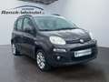 Fiat Panda Lounge 1.2 8V 51kW (69PS) DAB Tel.-Vorb. PDC Berga Braun - thumbnail 7