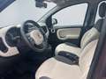 Fiat Panda Lounge 1.2 8V 51kW (69PS) DAB Tel.-Vorb. PDC Berga Braun - thumbnail 9