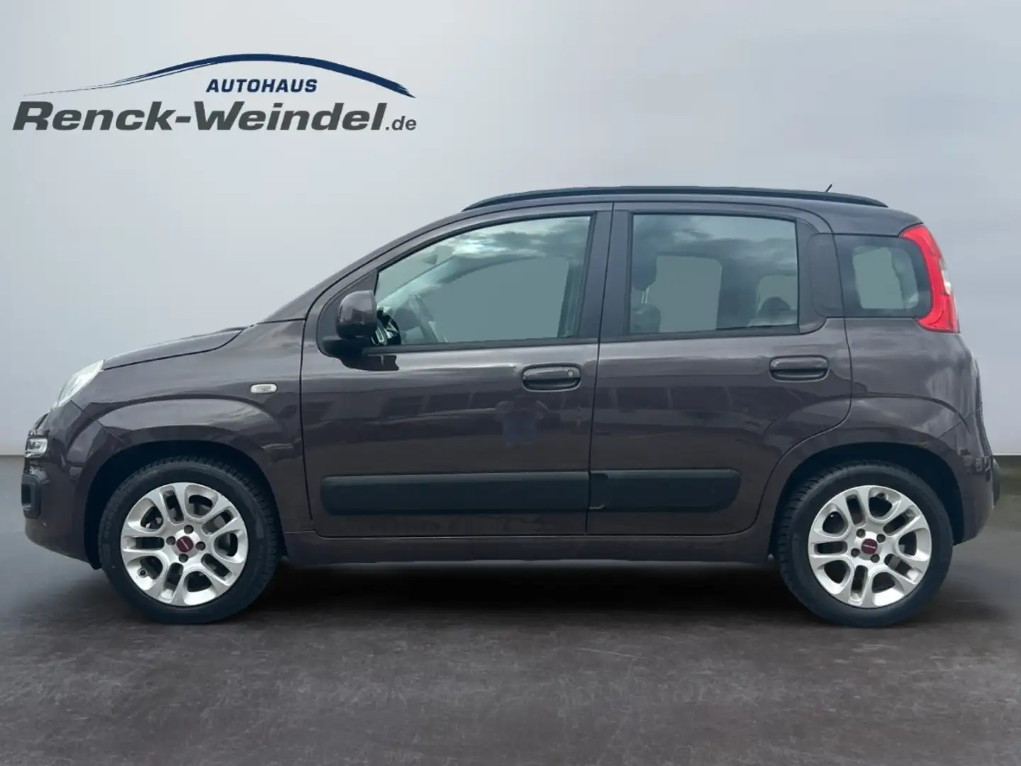 Fiat Panda Lounge 1.2 8V 51kW (69PS) DAB Tel.-Vorb. PDC Berga Braun - 2