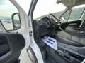 Peugeot Boxer H3 L4 Passo lungo Tetto Alto 140 Cv Euro 6B 1Propr Blanc - thumbnail 13