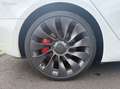 Tesla Model 3 model-3 performance dual motor 82kwh grande-autonomie 4wd Weiß - thumbnail 20