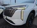 GWM Sonstige 1.5 HEV DHT Luxury Panoramadach Head-Up Weiß - thumbnail 6