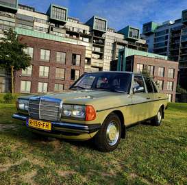 nette harde w123