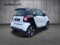 smart forTwo EQ fortwo PASSION+COOL&AUDIO+PLUS-PAKET+TEMPOMAT Weiß - thumbnail 5