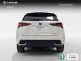 Lexus NX 300 300h Business Navigation 2WD Weiß - thumbnail 5