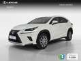 Lexus NX 300 300h Business Navigation 2WD Weiß - thumbnail 1
