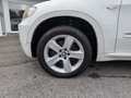 BMW X5 xDrive 35d Leder Xenon NUR AN HÄNDLER Klima Xenon Blanco - thumbnail 10