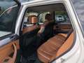BMW X5 xDrive 35d Leder Xenon NUR AN HÄNDLER Klima Xenon Weiß - thumbnail 10