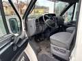 Ford Transit Kasten mittel 2.4 FT 350 Klima Standh Bílá - thumbnail 22
