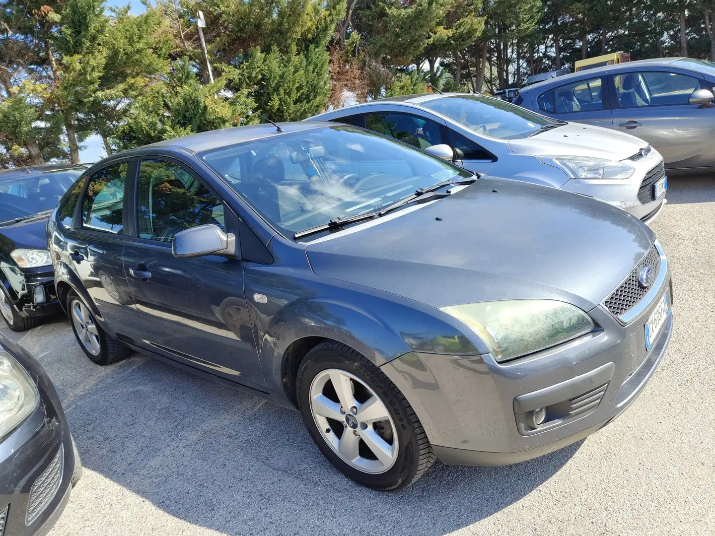 Ford Focus 5p 1.6 tdci 90cv - 1