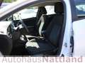 Opel Astra 1.5 D Edition StartStop Klima Navi DAB 1.H Weiß - thumbnail 8