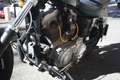 Harley-Davidson Sportster 883 Hugger Customizzata U.S.A. ORIGINAL IMPORT Groen - thumbnail 21