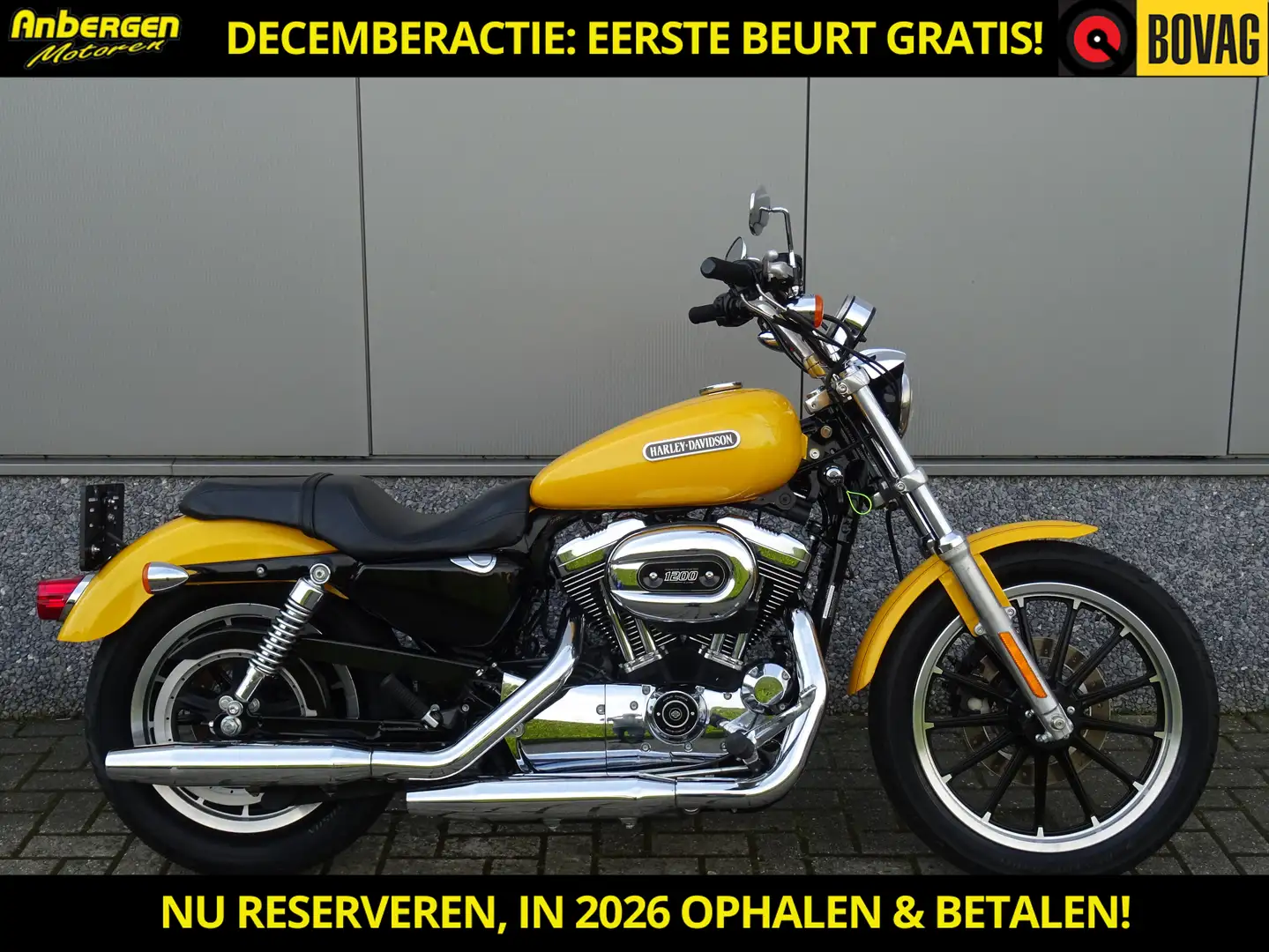 Harley-Davidson XL 1200 C SPORTSTER 1200 CUSTOM Geel - 1