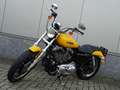 Harley-Davidson XL 1200 C SPORTSTER 1200 CUSTOM Jaune - thumbnail 15