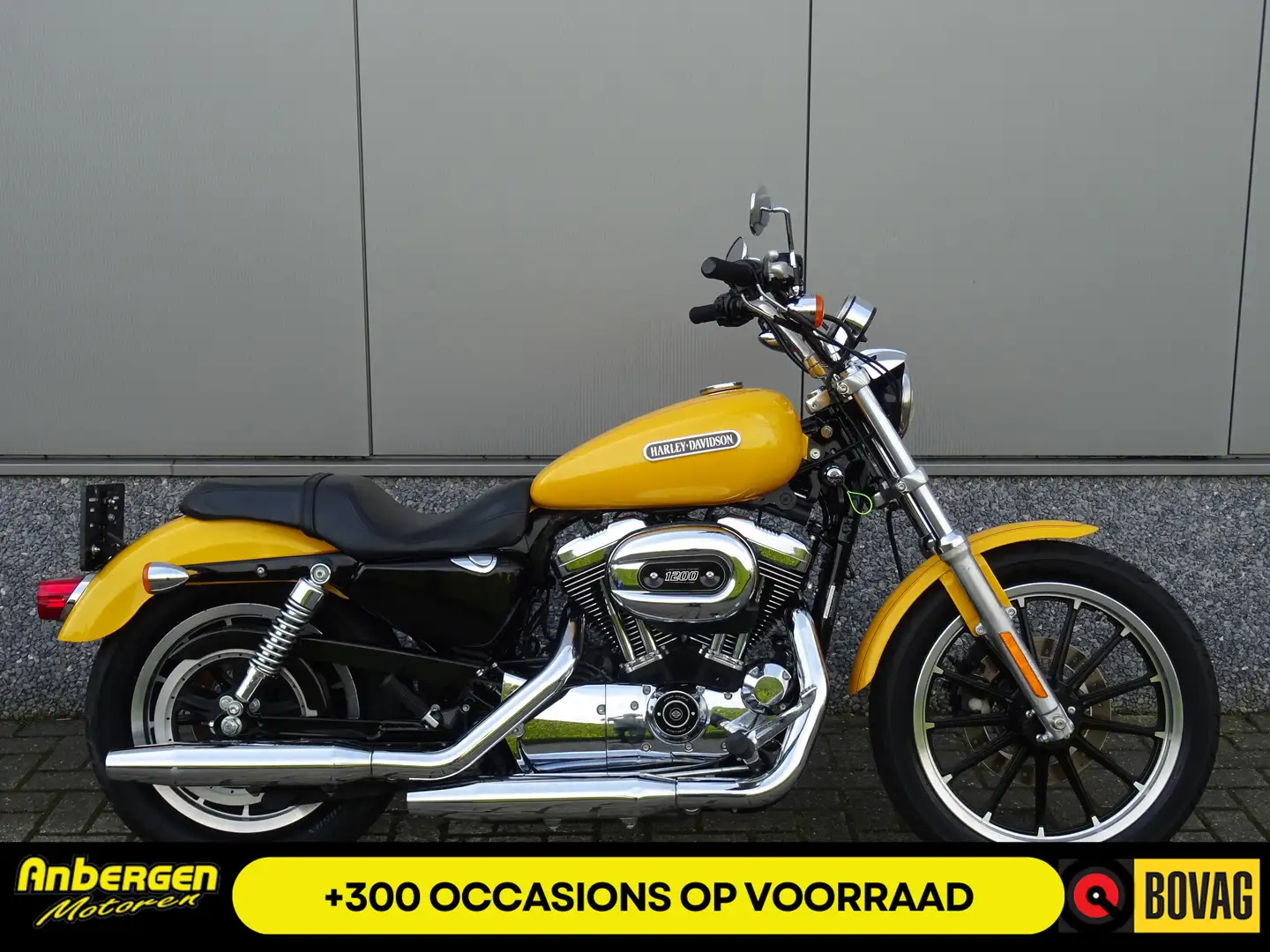 Harley-Davidson XL 1200 C SPORTSTER 1200 CUSTOM Gelb - 1
