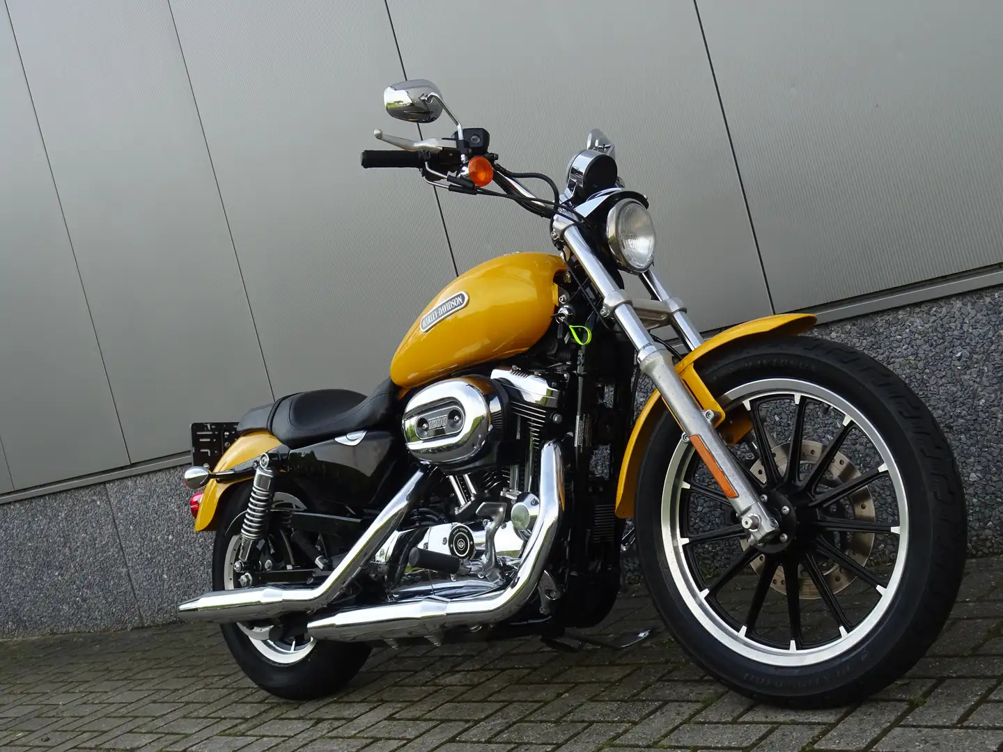 Harley-Davidson XL 1200 C SPORTSTER 1200 CUSTOM Geel - 2