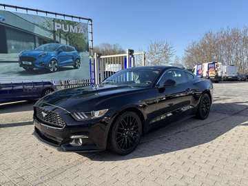 EcoBoost 317pk / manueel