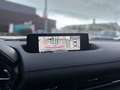 Mazda MX-30 MX-30 ELECTRIQUE 145 CH MODERN CONFIDENCE Grau - thumbnail 9