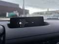 Mazda MX-30 MX-30 ELECTRIQUE 145 CH MODERN CONFIDENCE Grau - thumbnail 10