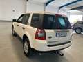 Land Rover Freelander 2.2Td4 HSE Beige - thumbnail 3