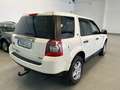Land Rover Freelander 2.2Td4 HSE Beige - thumbnail 4
