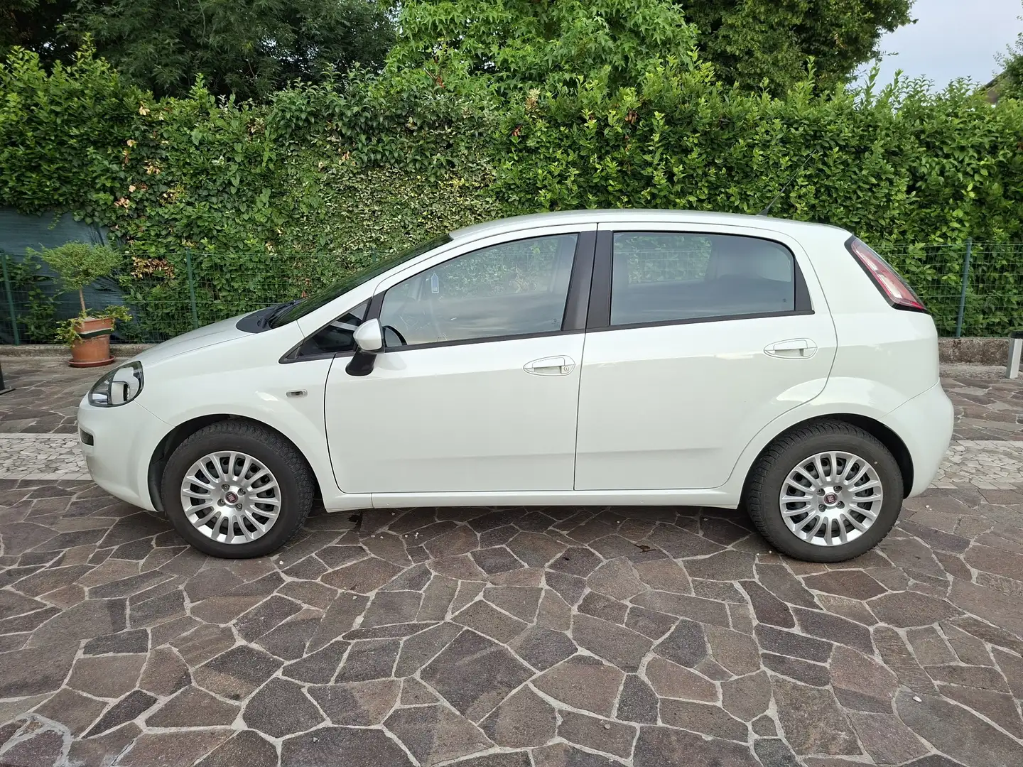 Fiat Punto 3p 1.2 Street E6 - 2