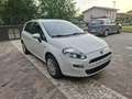 Fiat Punto 3p 1.2 Street E6 - thumbnail 7