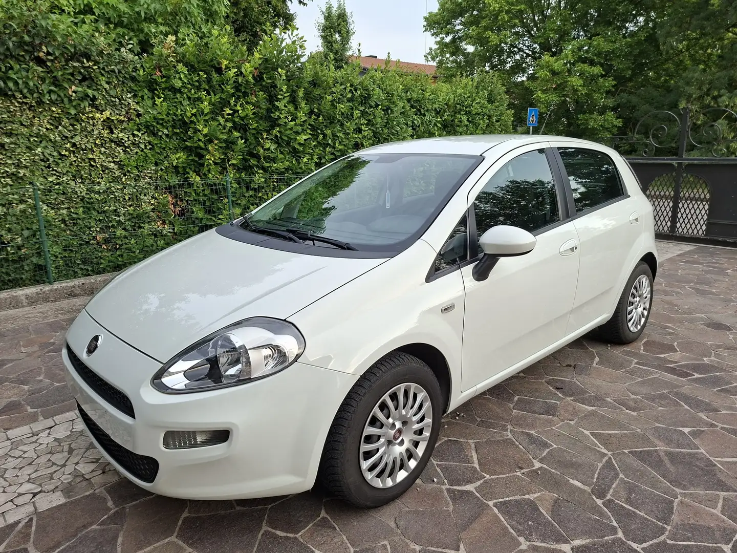 Fiat Punto 3p 1.2 Street E6 - 1
