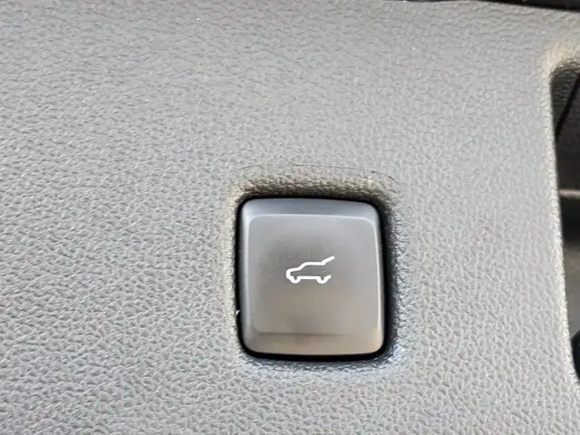 Ford Kuga view 12