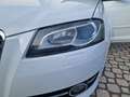 Audi A3 A3 SPB 1.6 TDI 105 CV CR Ambition OK NEO PATENTATI Bianco - thumbnail 14