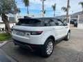 Land Rover Range Rover Evoque Range Rover Evoque I 2016 Dynamic 150cv a Blanc - thumbnail 7