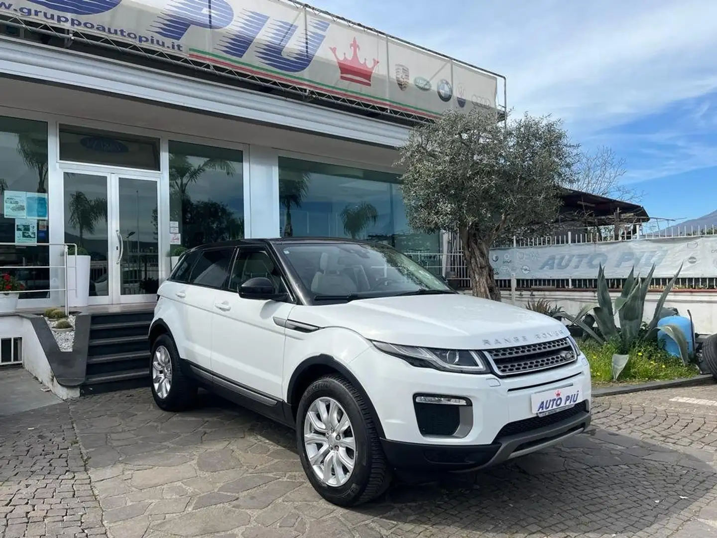 Land Rover Range Rover Evoque Range Rover Evoque I 2016 Dynamic 150cv a Blanc - 2