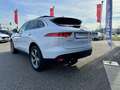 Jaguar F-Pace Prestige Aut.25d AWD/ PANORAMASCHIEBEDACH/LED/N... Weiß - thumbnail 4