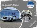 Jaguar F-Pace Prestige Aut.25d AWD/ PANORAMASCHIEBEDACH/LED/N... Blanc - thumbnail 1
