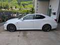 Lexus IS F IS I 1999 Berlina IS-F 5.0 V8 auto Weiß - thumbnail 1