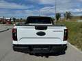 Ford Ranger Ranger Wildtrak e-4WD 2.3 EcoBoost Aut. 3,5t AH... Weiß - thumbnail 6