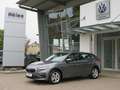 Skoda Scala Skoda Scala 130 Jahre 1.0TSI DSG AHK Kamera LED Grigio - thumbnail 2