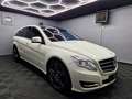 Mercedes-Benz R 350 CDI 4MATIC|7 SITZER|PANO|LEDER|21 ZOLL|XENON Blanco - thumbnail 2